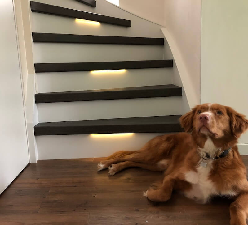 Gemoderniseerde trap met verlichting in de traptreden